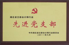 湖北省注册会计师行业先进党支部