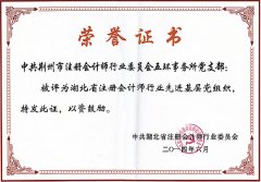 湖北省注册会计师行业先进基层党组织